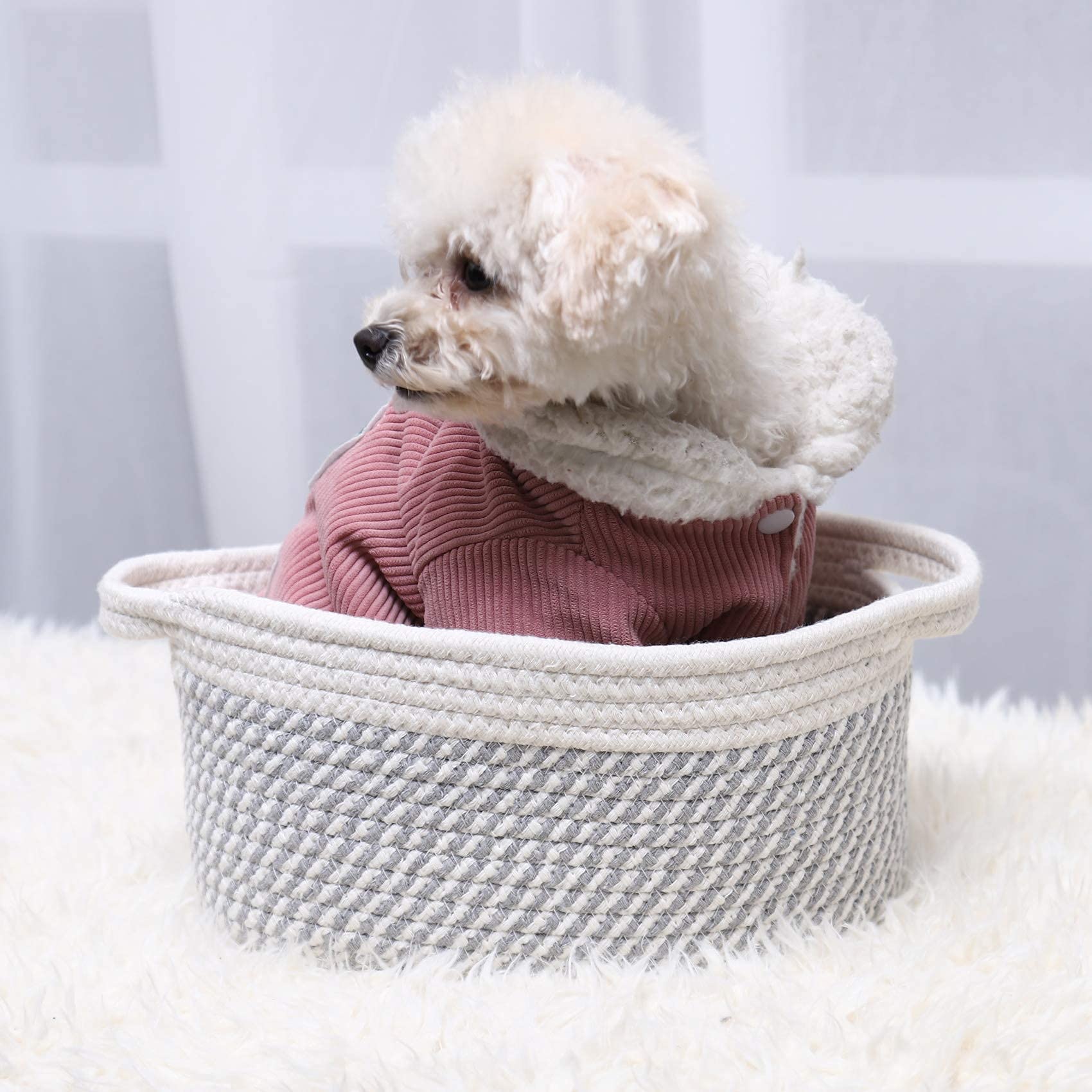 ABenkle Small Woven Basket  12''x 8'' x 5'' Cute Small Basket  Rope Room Shelf Storage Basket  Cat Dog Toys Basket Chest Box  Empty Decorative Gift Basket with Handles